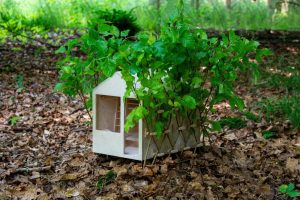 Arbofix – systém fixace stromů, živá útulna