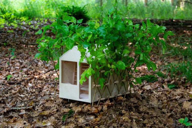 Arbofix – systém fixace stromů, živá útulna