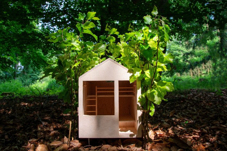 Arbofix – systém fixace stromů, živá útulna