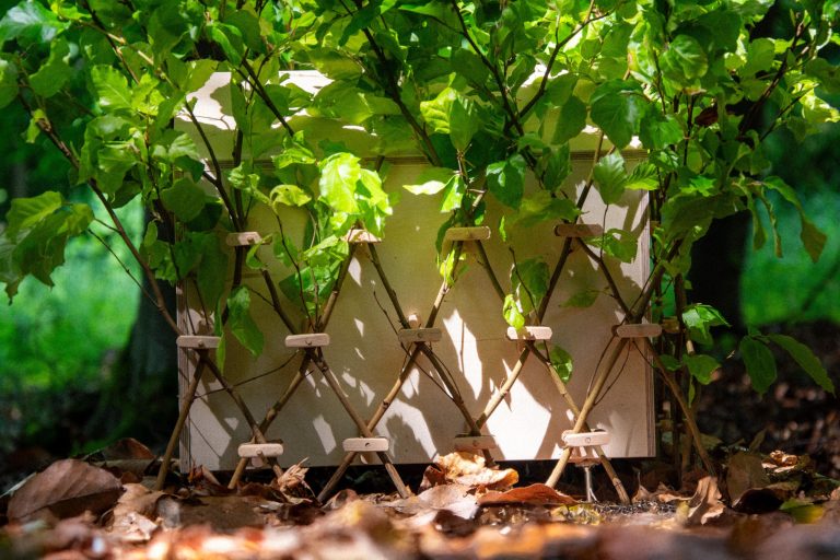 Arbofix – systém fixace stromů, živá útulna