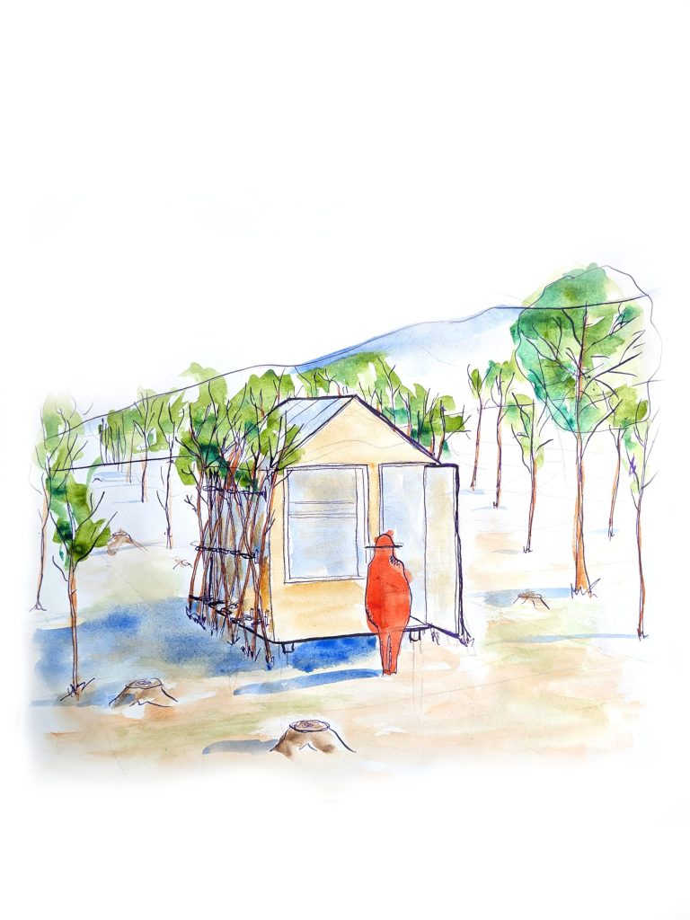 Arbofix – systém fixace stromů, živá útulna