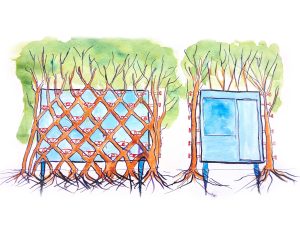 Arbofix – systém fixace stromů, živá útulna