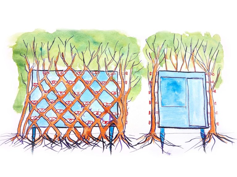 Arbofix – systém fixace stromů, živá útulna