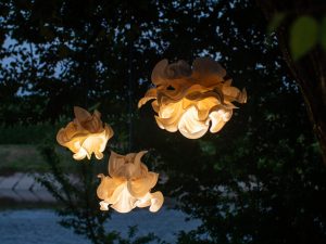 Whoop - kolekcia dekoračných svietidiel