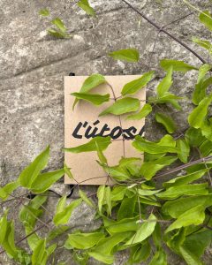 Stanislav Rakús - Ľútostivosť