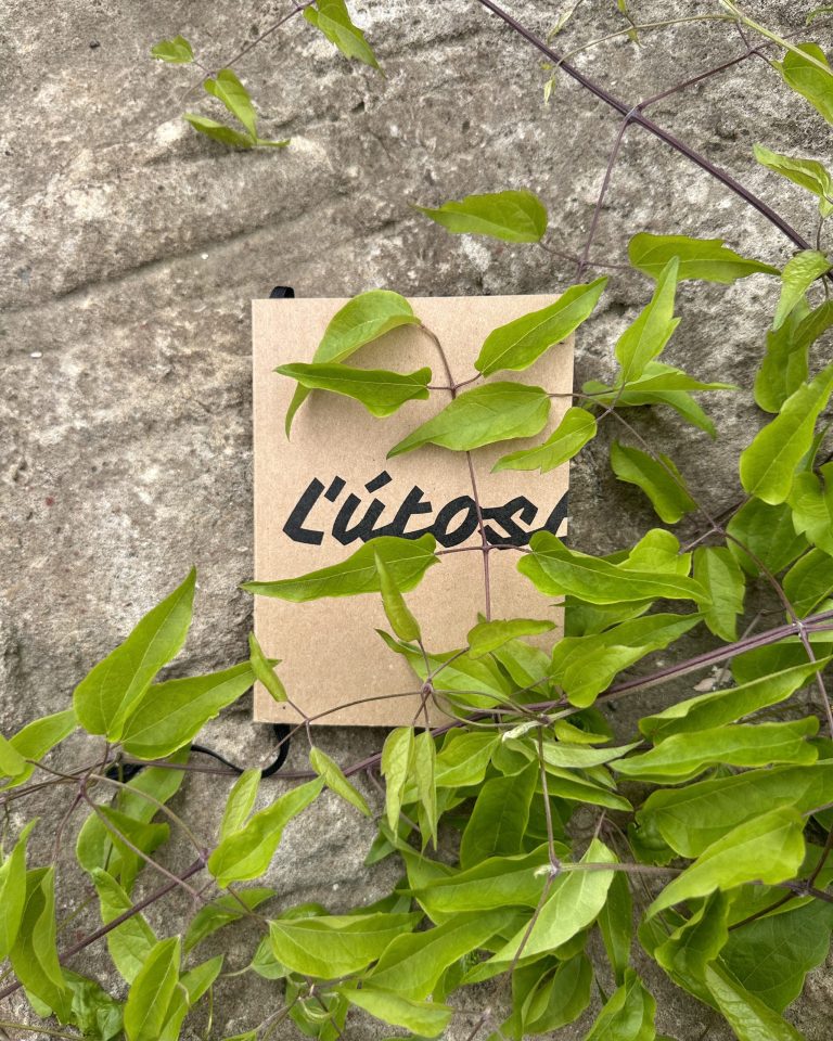 Stanislav Rakús - Ľútostivosť