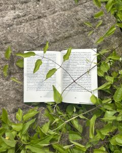 Stanislav Rakús - Ľútostivosť