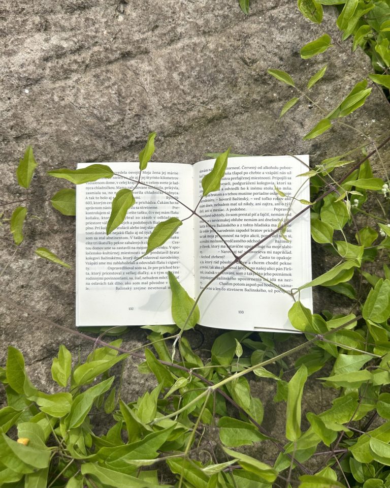 Stanislav Rakús - Ľútostivosť