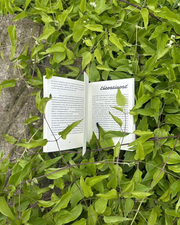 Stanislav Rakús - Ľútostivosť