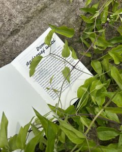 Stanislav Rakús - Ľútostivosť