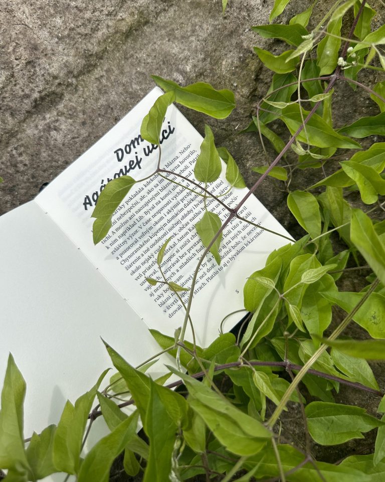 Stanislav Rakús - Ľútostivosť