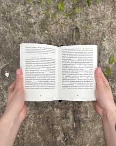 Stanislav Rakús - Ľútostivosť