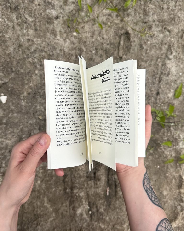 Stanislav Rakús - Ľútostivosť