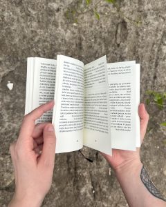 Stanislav Rakús - Ľútostivosť