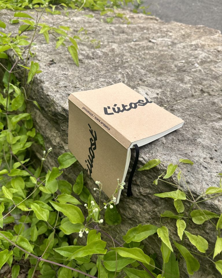 Stanislav Rakús - Ľútostivosť