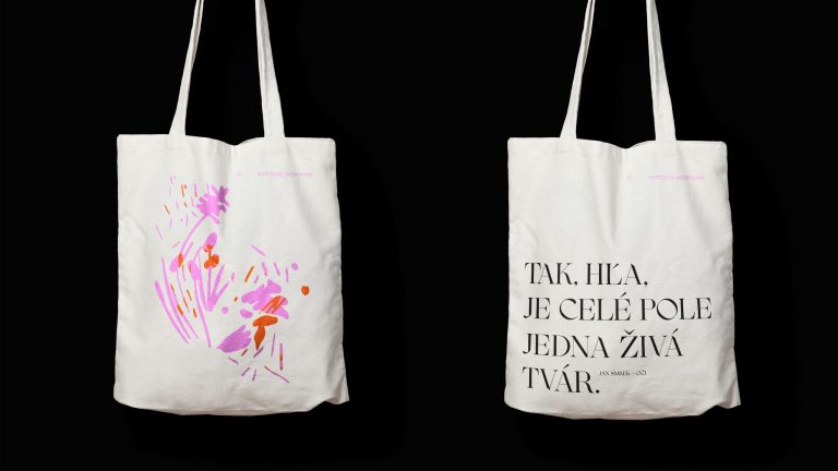 Vizuálna identita Hviezdoslavov Kubín