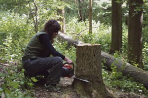 Stolička - Medzi Človekom a Prírodou