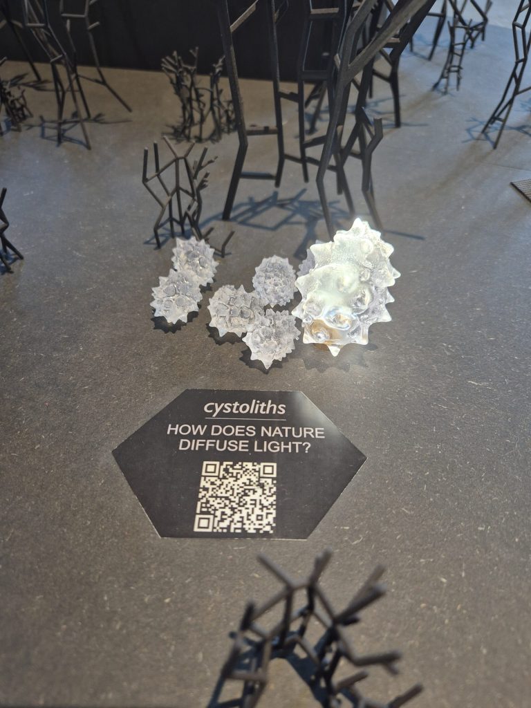 Expozícia predstavená počas Milan Design Week 2025 prekonala tradičný rámec obyčajnej prehliadky nábytku a stala sa vizionárskym vyhlásením. Jej otvorený a fluidný priestor predstavuje interpretáciu budúceho pracovného prostredia, ktoré je fundamentálne postavené na poznatkoch a princípoch biomimetiky. Nejde len o imitáciu prírody, ale o hlboké pochopenie jej funkčných mechanizmov. Autori priestorového riešenia Zuzana Tončíková, Marián Ihring, Roman Nôta, Júlia Kaštierová. Foto: Zuzana Tončíková